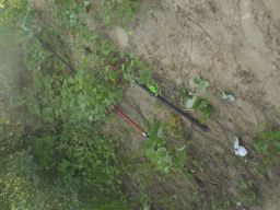 exp-zr-2009 477
